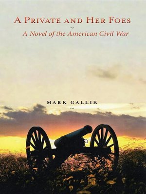cover image of A Private and Her Foes